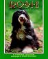 Rosie: A Visiting Dog's Story