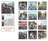 Women in Chaps 2009 Wall Calendar
