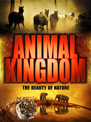 Watch 'Animal Kingdom' on Amazon Prime Instant Video UK - NewOnAmzPrimeUK