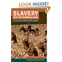Slavery and the Numbers Game: A Critique of Time on the Cross