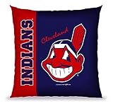 Biederlack Cleveland Indians Vertical Stitch Floor Pillow