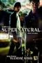 Supernatural Poster TV C (11 x 17 Inches - 28cm x 44cm) Jared Padalecki Jensen Ackles Amber Borycki Jim Beaver Misha Collins Genevieve Cortese
