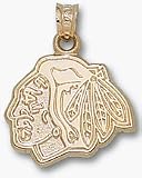 Chicago Blackhawks 'Blackhawks Head Logo' 5/8' Pendant - 14KT Gold Jewelry
