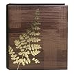 Photo Album - Ferns