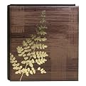 Photo Album - Ferns