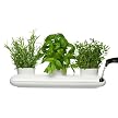 Herb Pot Trio