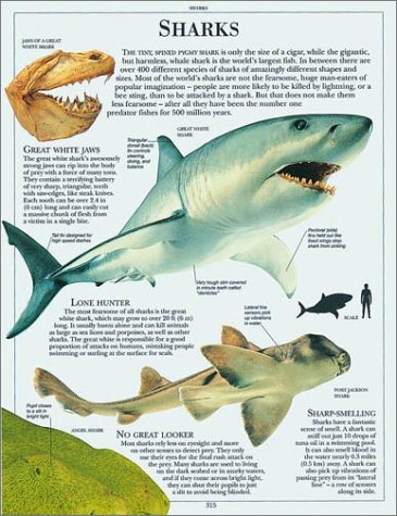 Cover image : Animal Encyclopedia