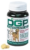 D.G.P. (Dog Gone Pain)