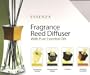 Essenza Home Fragrance Simmering Vanilla and Fireside Reed Diffuser Two 6.15 Fl Oz Bottles