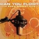 Can You Flow? to Rap's Biggest Hits Vol. 1