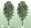 TWO 6' Artificial Rhododendron Trees with Real Wood Trunks