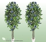 TWO 6' Artificial Rhododendron Trees with Real Wood Trunks