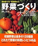 野菜づくり大図鑑 画像