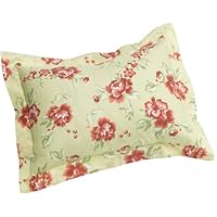 Pinzon 160-Gram Printed Flannel Standard Sham, Brick Floral