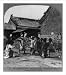 Historic Print (L): Peking Mission school children at play: Blind man's buff