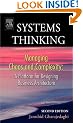 Systems Thinking: Managing Chaos and Complexity: A Platform for Designing Business Architecture