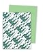 Wausau Astrobrights Heavy Duty Paper, 24 lb, 8.5 x 11 Inches, Martian Green, 500 Sheets (22061) Image