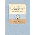The Practice of Japanese Acupuncture and Moxibustion: Classic Principles in Action by Ikeda Masakazu