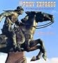 The Pony Express: A Photographic History
