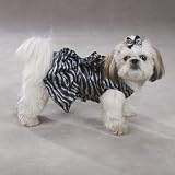 Zack & Zoey Platinum Print Zebra Dress Teacup BlaP