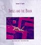 Drugs and the Brain (Scientific American Library Series)