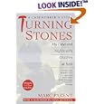 Turning Stones: My Days and Nights with Children at Risk: A Caseworker's Story
