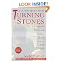 Turning Stones: My Days and Nights with Children at Risk: A Caseworker's Story