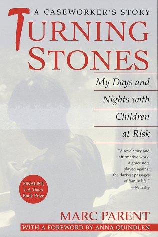 Turning Stones: My Days and Nights with Children at Risk: A Caseworker