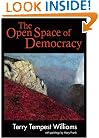 The Open Space of Democracy (New Patriotism)