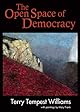 The Open Space of Democracy (New Patriotism)