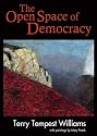 The Open Space of Democracy (New Patriotism)