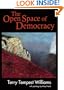 The Open Space of Democracy