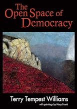 The Open Space of Democracy (New Patriotism)