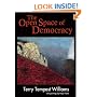 The Open Space of Democracy (New Patriotism)