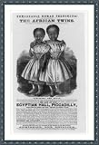 Historic Print (XL): The African twins...whom nature has linked by an indissoluble band...on view...Egyption