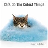 Cats Do the Cutest Things