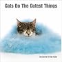 Cats Do the Cutest Things