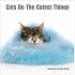 Cats Do the Cutest Things