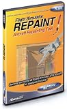 Revue Micro Application  / FS Repaint (Aircraft Rapeinting Tool)