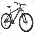 Mountain Bikes
