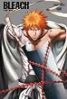 BLEACH �����E �~�o�� 1 (���S���Y�����) [DVD]