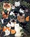 Cats Kitty And Kittens Animal Picture Art Print