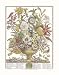 Twelve Months of Flowers, 1730, September, Bouquets Art Poster Print by Robert Furber...