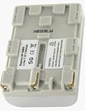 Sony DCRPC101 / DCRPC101E