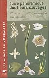 Guide panoramique des fleurs sauvages