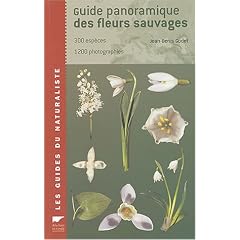 Guide panoramique des fleurs sauvages