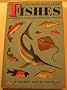 Insects a Guide To Familiar American Insects
