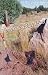 Books : Twice Buried (Missing Mystery, 28)