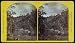 Apache Lake, Summit of Sierra Blanca Mountains, about 35 miles east from Camp Apache,...
