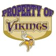 Minnesota Vikings Cloisonne Pin w/Jewelry Card